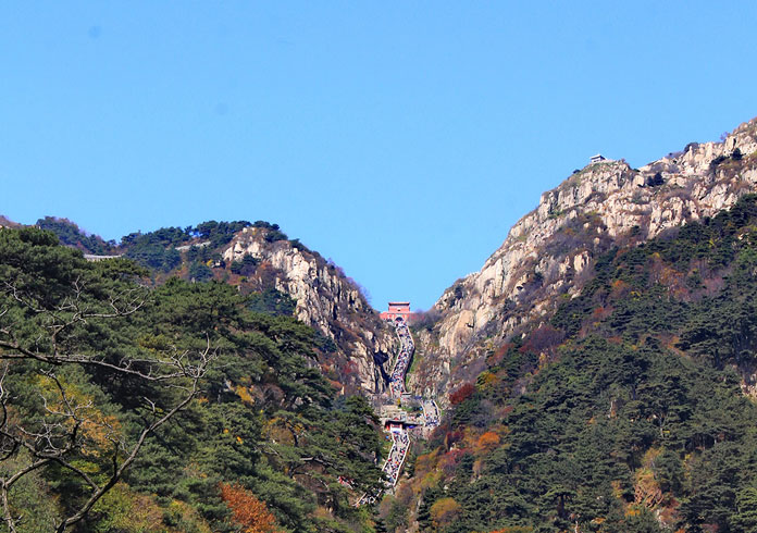 山东泰山